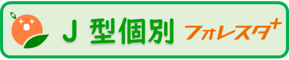 富山 自立型　個別指導